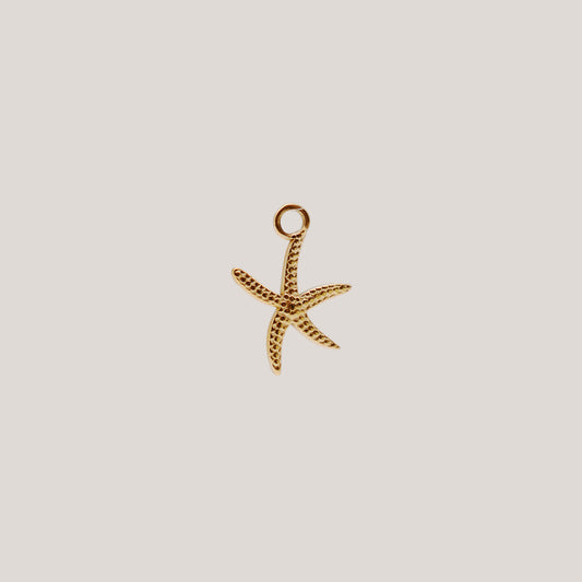 Starfish Charm