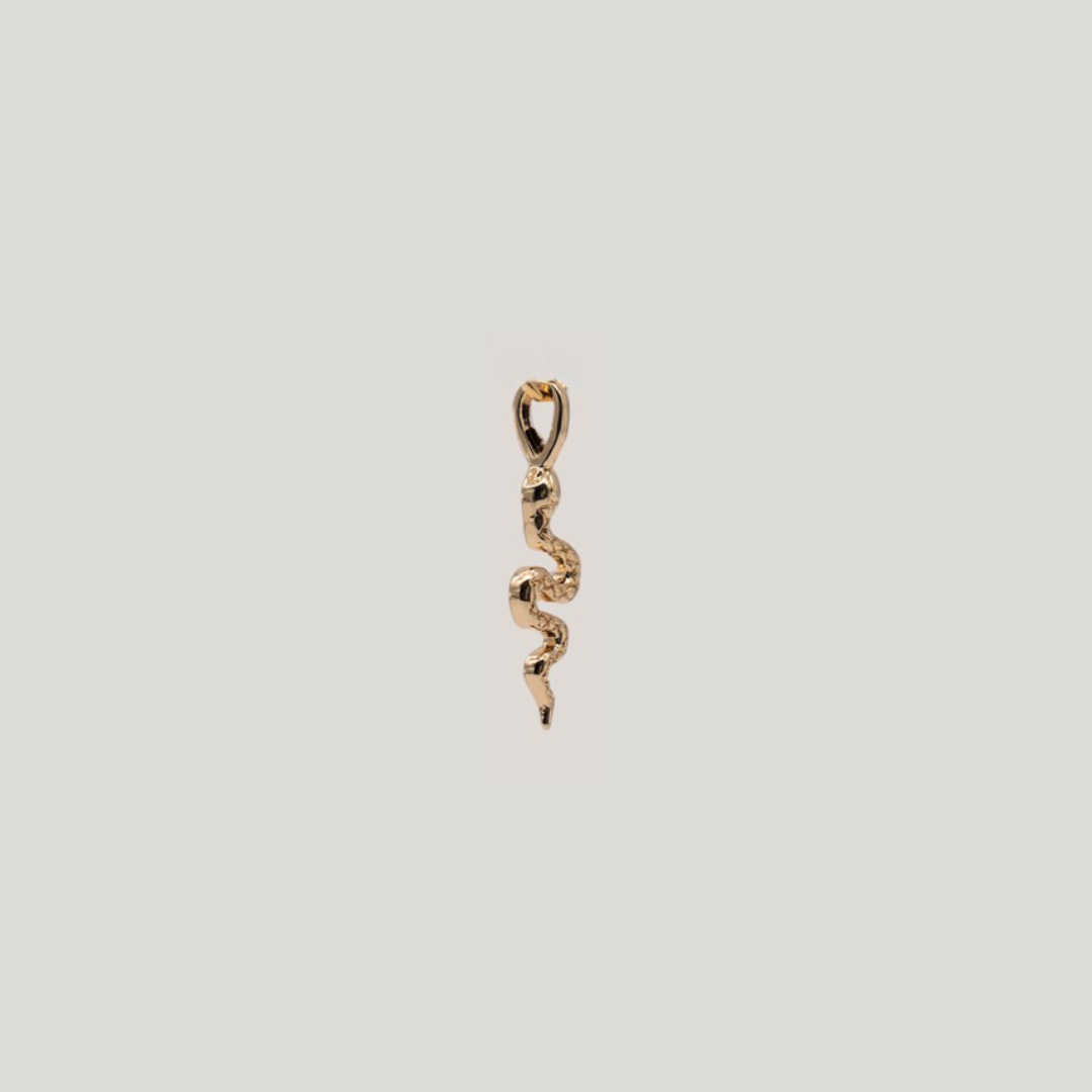 Gold snake-shaped pendant on a beige background