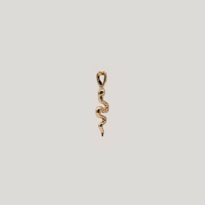 Gold snake-shaped pendant on a beige background